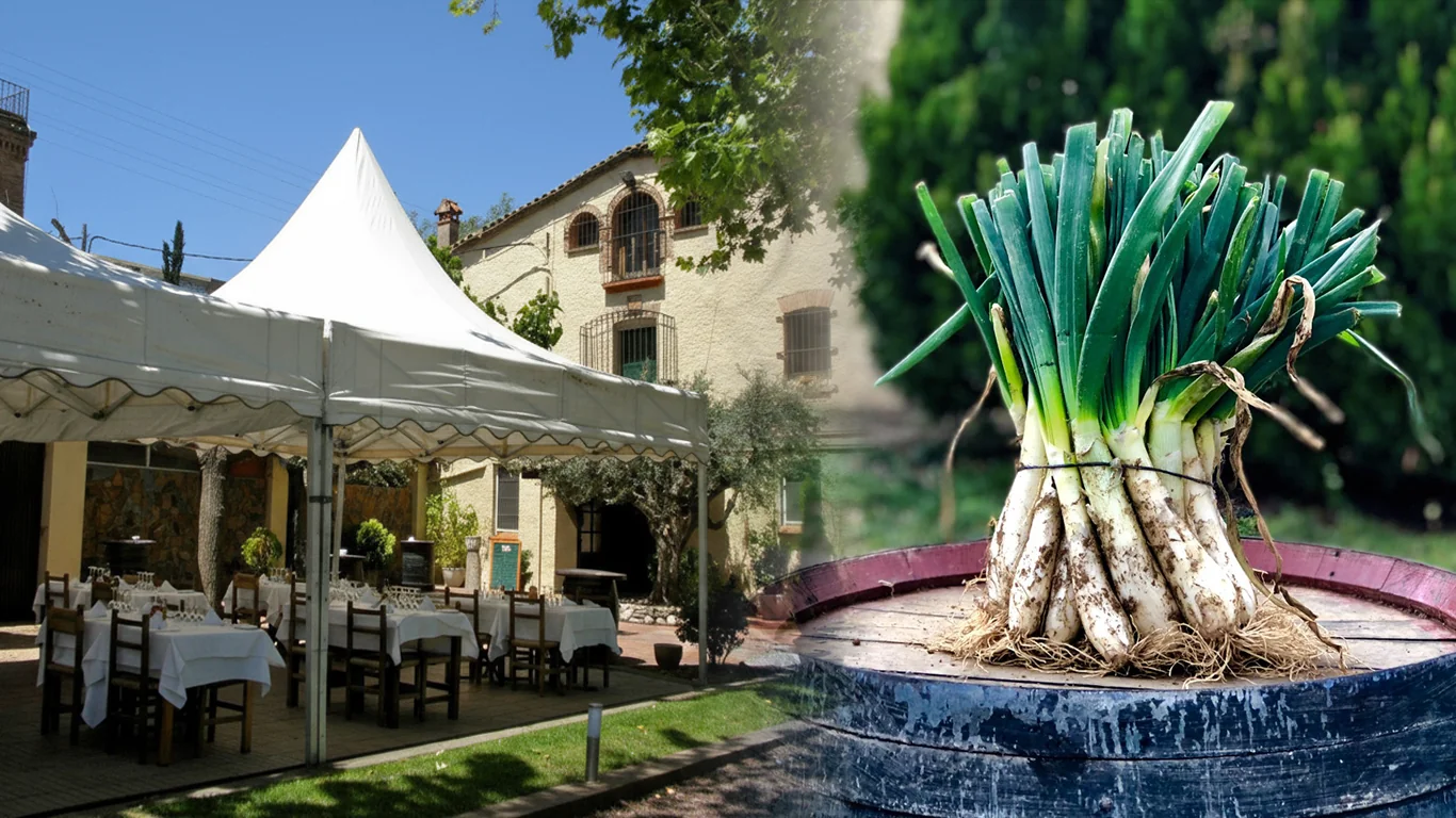 La terrassa de la masia de Ca n’Escayola i calçots de temporada