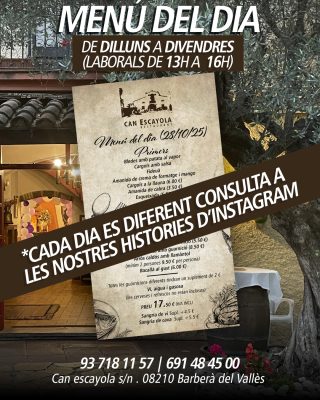 MENU DEL DIA post copia